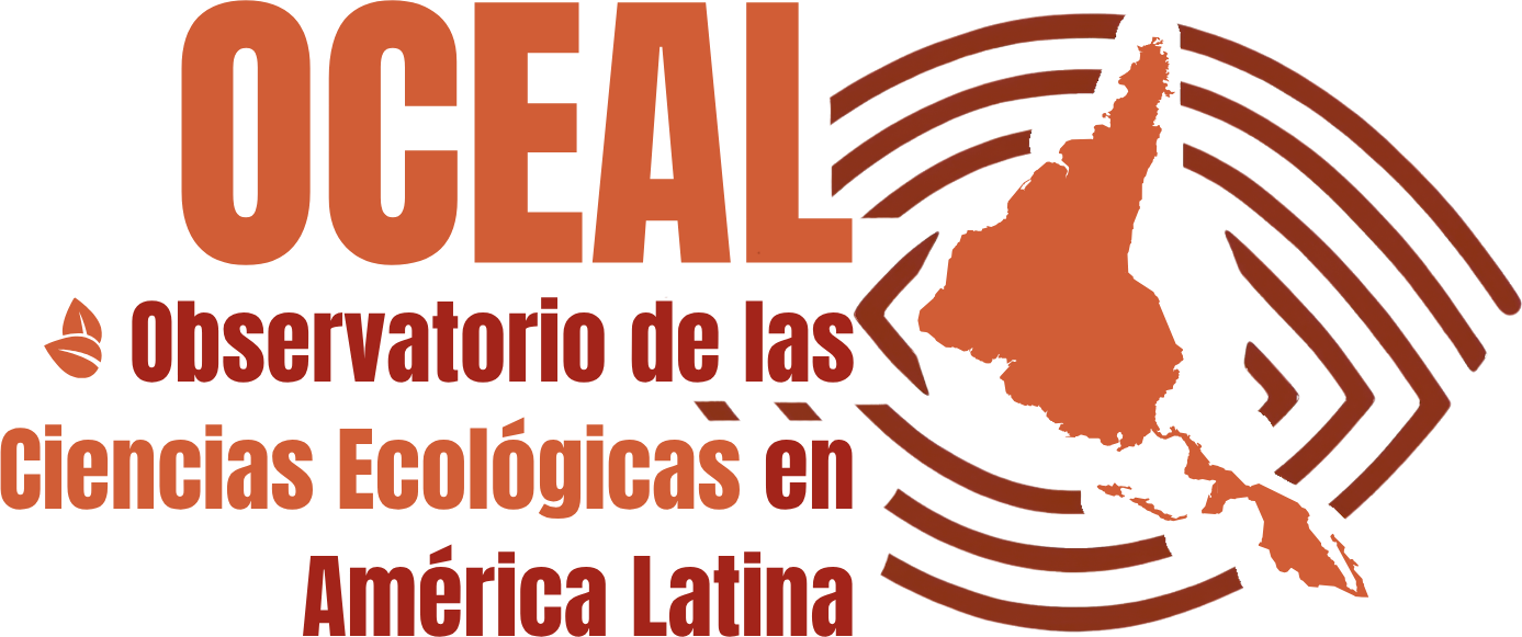 Entidad